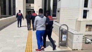 Jandarmadan hırsız ve zehir tacirine şok baskın