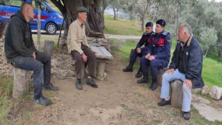 Jandarmadan yaşlı çınarlara saygı