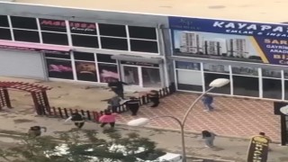 Kadın kuaförler komşu kadın kuaförün iş yerine saldırdı