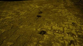Kadınların saç baş yolduran kavgasında bıçaklanan polis memuru yaralandı