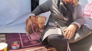 Kahramanmaraşta depremde kendisini kurtaran köpeğiyle beraber çadır kentte yaşamını sürdürüyor