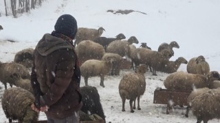 Kar geri geldi, hayat felç oldu