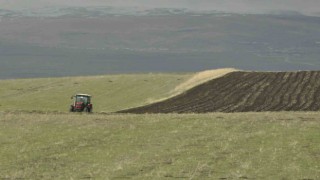 Karsta tarlalar sürülüyor