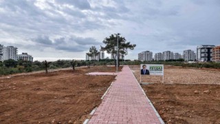 Kepez Çankayaya zeytin temalı park