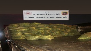 Kocaelide 10 ton kaçak midye ele geçirildi