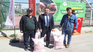 Konyada nadasa bırakılan alanlara nohut ekilecek