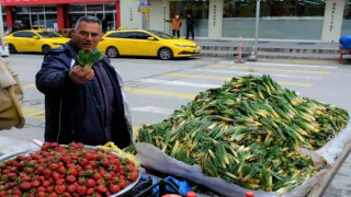 Lezzet ve şifa deposu çiriş otu tezgahlarda yerini aldı