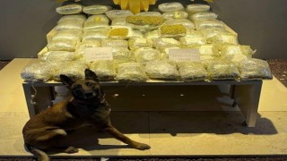 Malatyada yolcu otobüsünde 52 kilo uyuşturucu ele geçirildi
