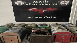 Mardinde horoz dövüştürenlere operasyon: 5 gözaltı