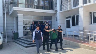 Mersinde sazan sarmalı yöntemi: Milyonlarca lira dolandırmışlar