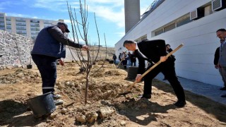 Mesai arkadaşlarından kızı vefat eden öğretim üyesine vefa: Kampüste meyve bahçesi oluşturdular