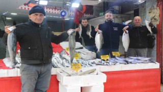 Mevsim balıklarının yerini kültür balıkları aldı