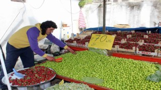 Mevsimin vazgeçilmezi erik, tezgahta 70 liradan satılıyor