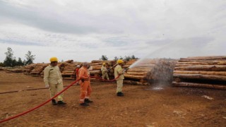 Milas Orman İşletme Müdürlüğünde İşbaşı Eğitimi yapıldı