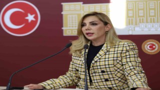 Milletvekili Gökcan: “Söz değil, eser ürettik”