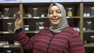 Muhafaza edilen ata tohumları çiftçilere dağıtıldı
