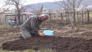 Muşta bahar hazırlıkları başladı