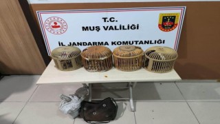 Muşta keklik avlayan 5 kişiye 72 bin 249 TL idari ceza verildi
