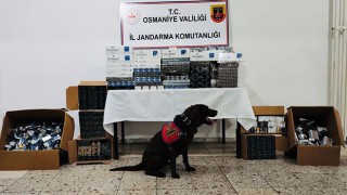 Osmaniye'de Evde yapılan aramada kaçak sigara ele geçirildi