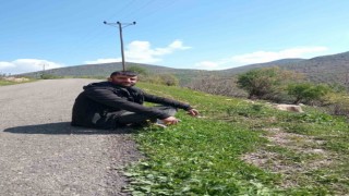 Ot biçen vatandaşı yılan ısırdı