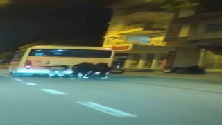 Patenli gençlerin tehlikeli yolculuğu