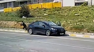 Pendikte otomobile ateş açıldı; 1 ölü, 1 yaralı