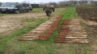 Polonya'da bir tarlada 100'den fazla top mermisi bulundu