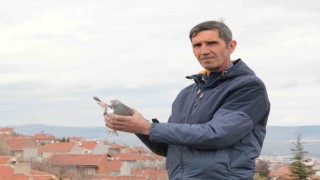 Sadece iftar yapmak için güvercinlerinin yanından ayrılıyor
