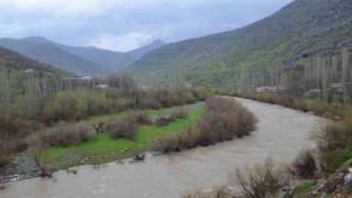 Sağanak yağışlar Habur Çayının debisini yükselti