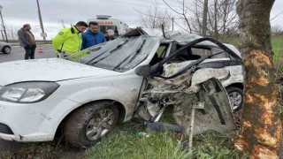 Sakaryada otomobil ağaca çarptı: 1 ölü