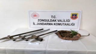 Salep soğanı toplarken yakalandılar