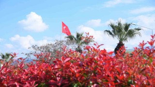 Salihlide çiçekler rengarenk görüntüleriyle çevreye güzellik katıyor