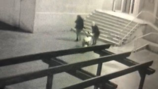 Şanlıurfada motosiklet hırsızlığı kamerada
