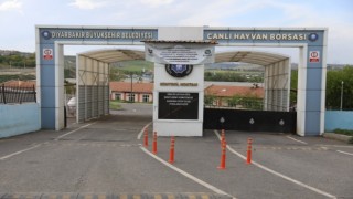 Şap nedeniyle geçici olarak kapanan Diyarbakır Canlı Hayvan Borsası yeniden açılıyor