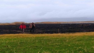 Sazlık yangınları ekolojik dengeyi bozuyor