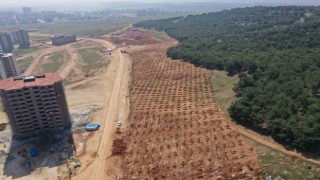 Şehitkamilde 26. orman için hazırlıklar tamamlandı