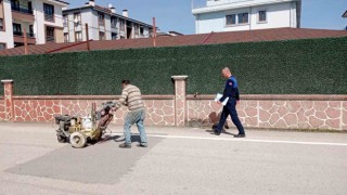 Semt pazarına kavuşuyor