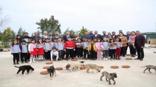 Serikte sokak hayvanları unutulmadı