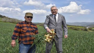 Soğan fiyatları bayramdan sonra düşecek