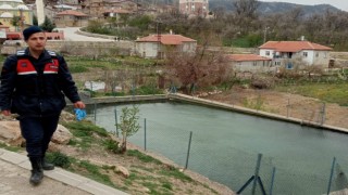 Sulama havuzuna düşen yaşlı kadın boğuldu