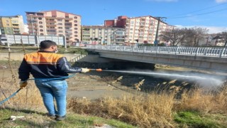 Sungurluda vektörel mücadele sürüyor