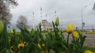 Tamamlandığında Doğu Karadenizin en büyük cami ve külliyesi olacak