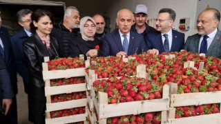 Tarım ve Orman Bakanı Kirişci: Örtü altı sera alanı 811 bin dekara çıktı