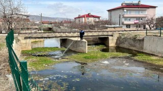 Tatvanda larvalara karşı ilaçlama çalışmaları başladı