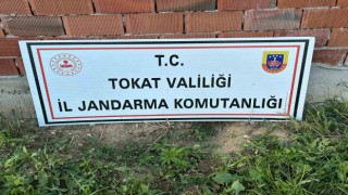 Tokatta 188 kök kenevir ele geçirildi