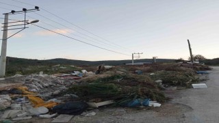 Turistik belde Güllük adeta çöplük oldu, vatandaşlar Milas Belediyesini göreve davet etti