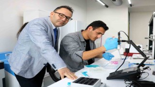 Türk bilim adamları geliştirdi, bu tohumlar çiftçinin cebini parayla dolduracak