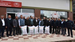 Türkiyenin önemli pirinç merkezlerinden Tosyada çiftçilere hibeli 55 ton çeltik