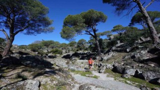 Uluslararası Latmos Ultra maratonu başlıyor