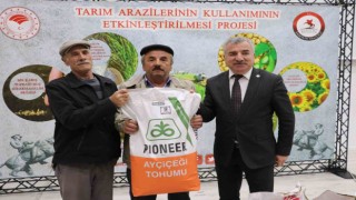 Üreticiye yağlık ayçiçeği tohumu desteği